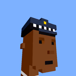 PunkVoxels #2863