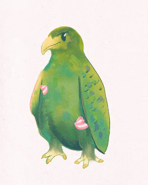 Item #30558848607721664956232405798594188624527905593353255215330386952934165315585 Media