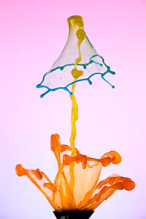 Item #56925950088807667091179859309160049593711726497790334072286926640457424306177 Media