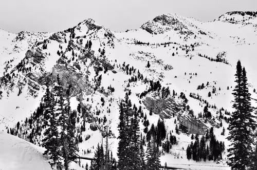 Item #60286361363657250857601775030637471218171117852543341295073303992060776284161 Media