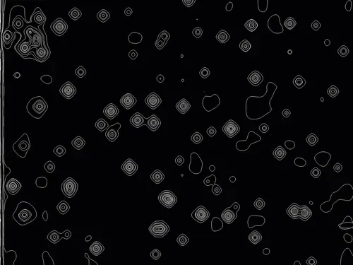 Item #5503311471662219802718148800125460752120054938104782853380324067283400916993 Media