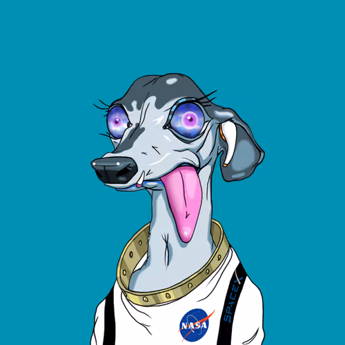 Dog Meta