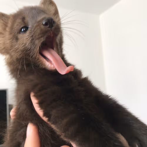 Untitled Collection #483706516