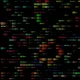 46787179187380829996119728101133693559697683976204755813862865547105373519972