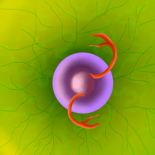 Item #40923030489634136455712028555760164488573693956163397073180493053236569178113 Media