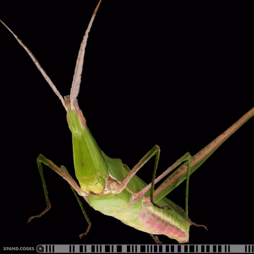 Item #58963443345665771353505984304139328775102797162935968682550101647275841290241 Media