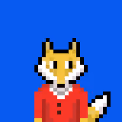 #8 Pixel Foxs
