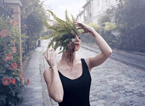 Knotty027 Collection