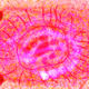 106437445706459738596763960879022521799706721225950230383280463696252857483265