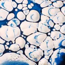 9251341193756129610411101804839683921415719585297066577807806973303379197953