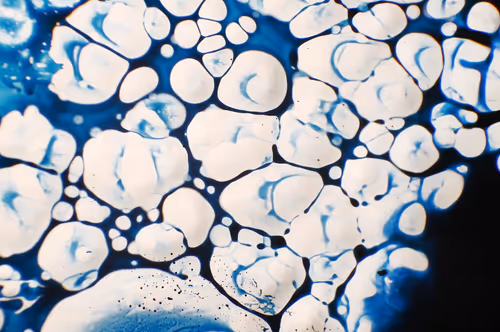 Item #9251341193756129610411101804839683921415719585297066577807806973303379197953 Media