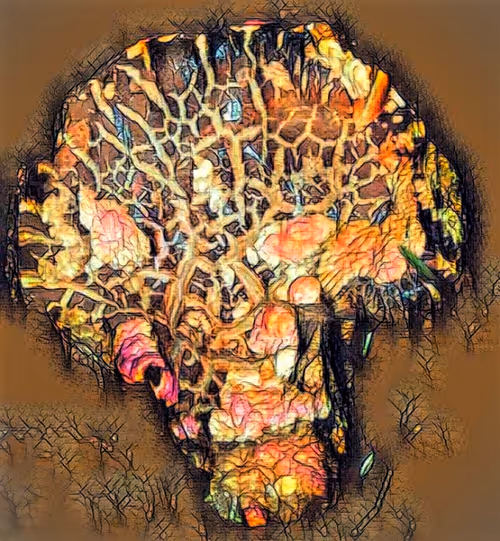 Item #80050559332347163335601971796963442430023304175303914027877321156058922614884 Media