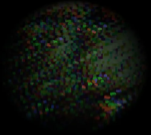 Item #52026421495237307124508671678768982950120800692193749930383155256839429423105 Media