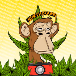 Northbound Films // Make Dope Shit #420