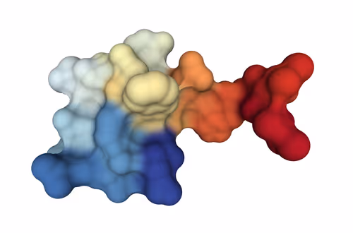 Item #47350829909543671371603060769853362682429688600975311335895424099911110492161 Media