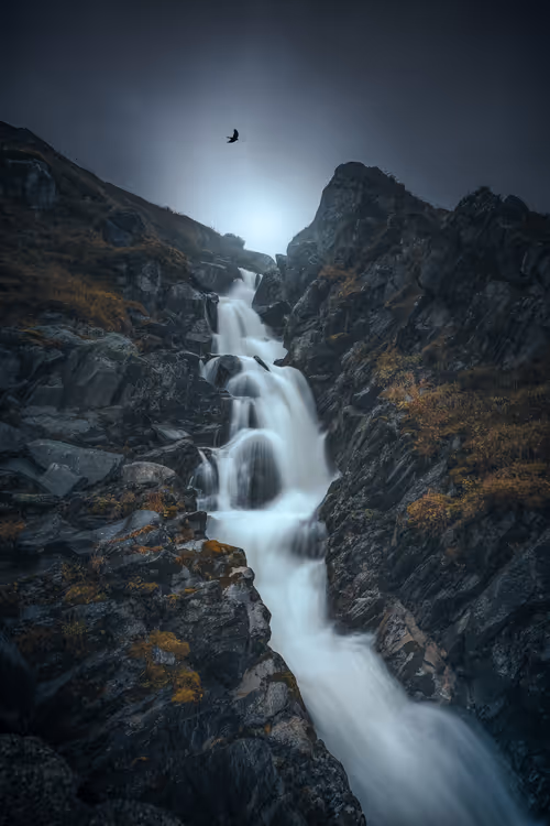 Item #57838873307730799033635906984496396884478891164141472861664138679324801761305 Media