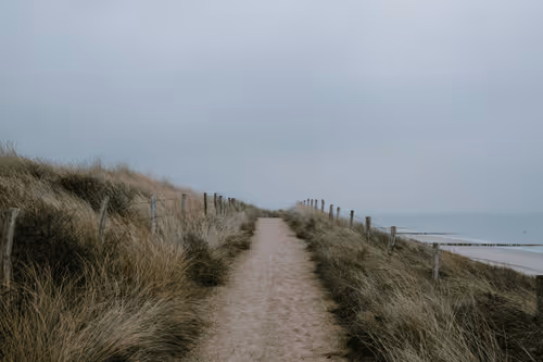 JeroenVerhulst Collection