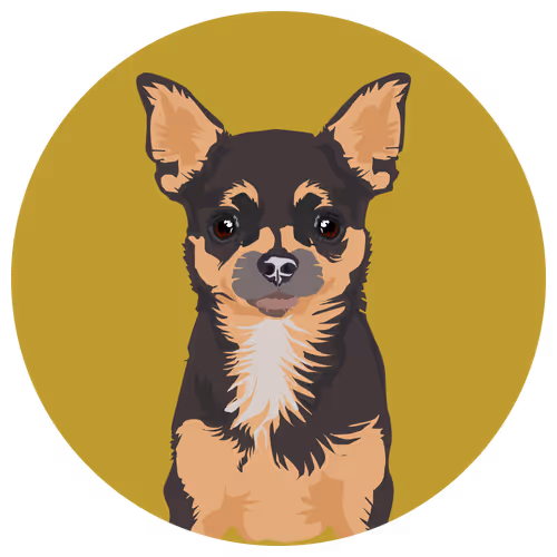 Item #54766349128176429303044182404049584425310907481653304317570413795692402180097 Media