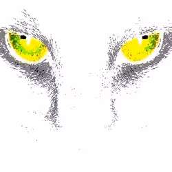 23538819986925566434507765811444276093104658907602947149672917310822091325441