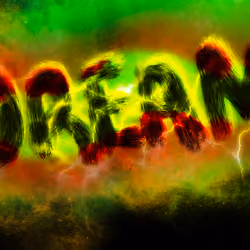 Dream