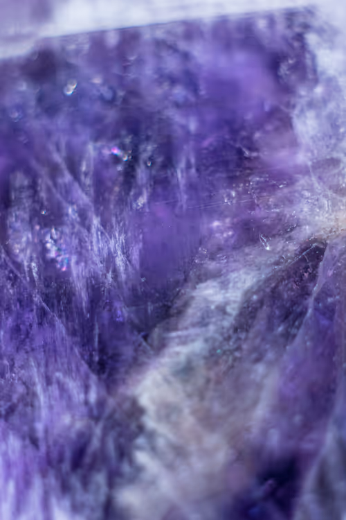 Item #66707676080978551838263520702754250537377931787813102231396956405660393668609 Media