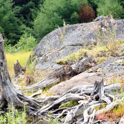 Untitled 3/50 (Bell Lake Inlet)