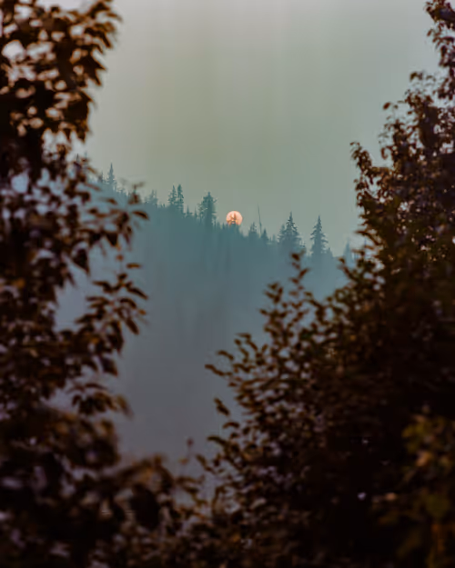 Item #38141354076463530561040962917951676198297601160396849426667128787904032145409 Media