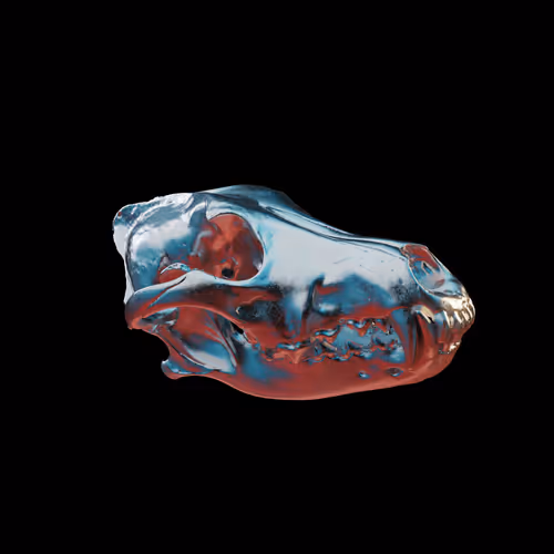 Item #105216533095656179836960327442460178833054127089328358825557449140414084808705 Media