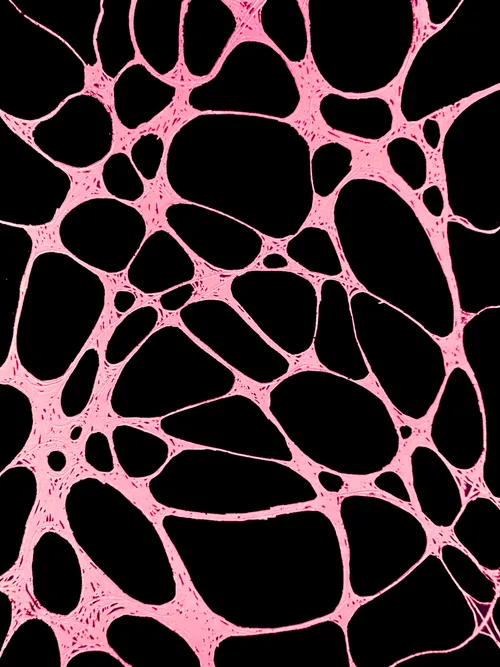 Item #60447415217477959408772772467770452871177809879771206339827648278079094128641 Media