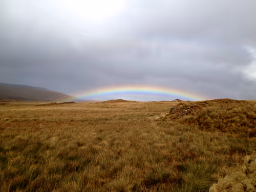 Item #25372994447545615556595153878681400140350305593099141563031706270462958895105 Media