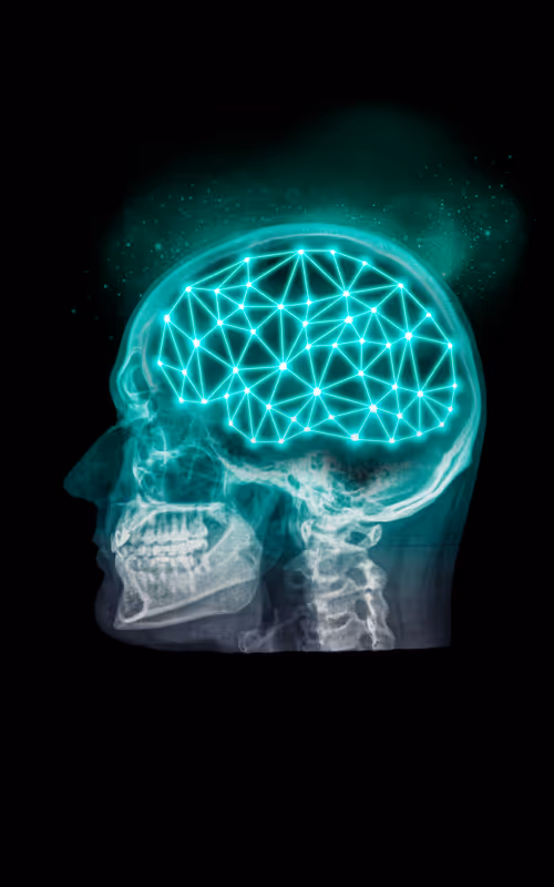 Item #24230885534779484670501703553684953274983737514794072512407783979657560326145 Media