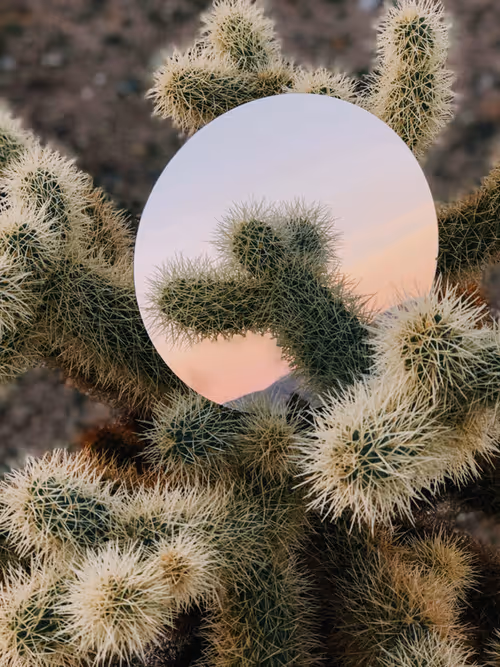 Item #57762364176817967113171601073029693715044262343455038936380107505847047815169 Media