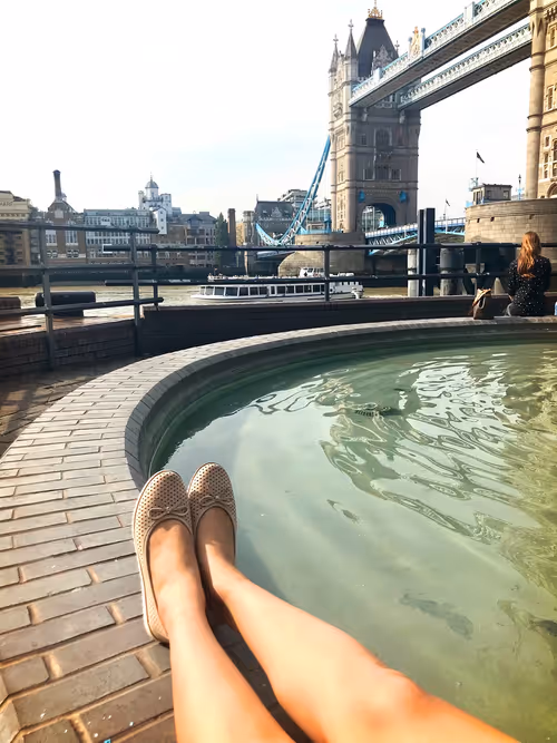 Item #20016639070522261265074286482024615868568076656625323720551142368682755227649 Media