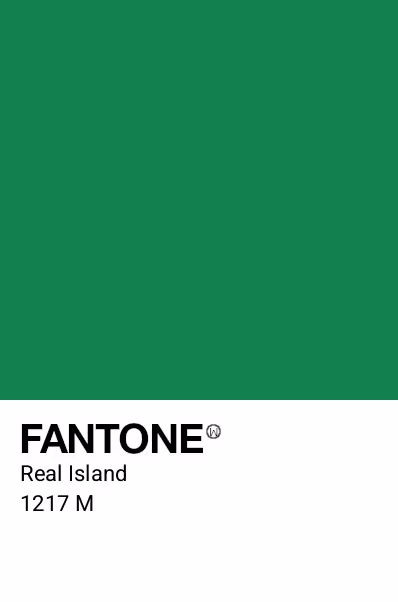 Item #40556178387998678323183325764725598464978512457509378010807482342193496065 Media