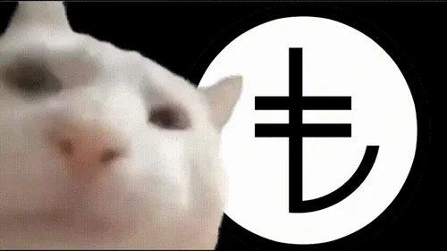 Item #18846285418805529128093196401789182680190648244927462352927307948507034388128 Media