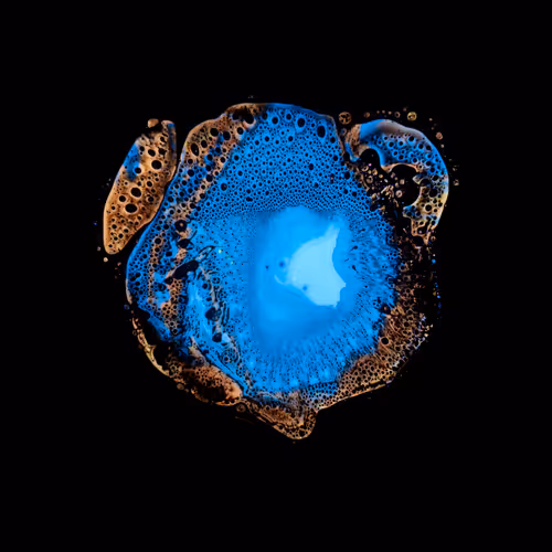 Item #39853347361311550538823328626004824816221754573894422864413753551791994175489 Media