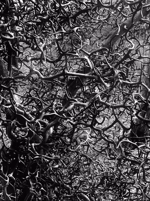 Item #57454491023137916107007493201948815472587961712729591816545853674089307176961 Media