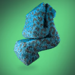 Y