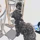 63354533987979925070382468145633898417413828635351440906526673601456221716481