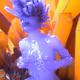 10808186101119484472221148304333065068433410604046647335047533710431764873217
