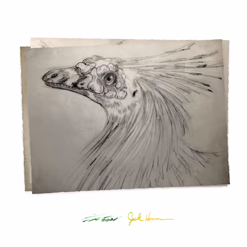 Item #22582927822880265950669941219355019494534003366966592492782895213784128815105 Media