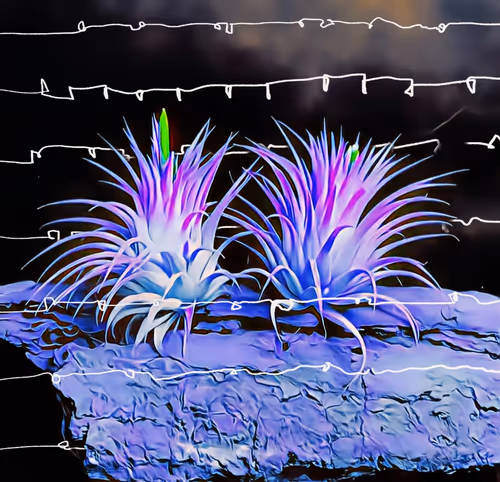 Item #8607677958191038044004830040679912821884152676576415147527513016769204715521 Media