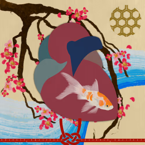 66238062490383810729848386540518331774555250355051783649393696907123956383745