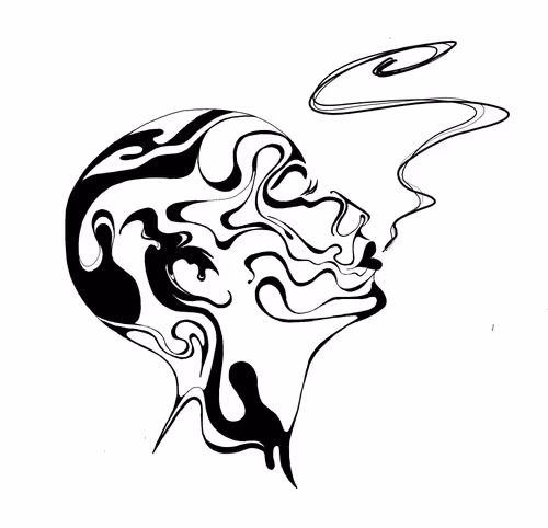 Item #76914563957710773876863111646050240319944883664087654322857875477726066900993 Media