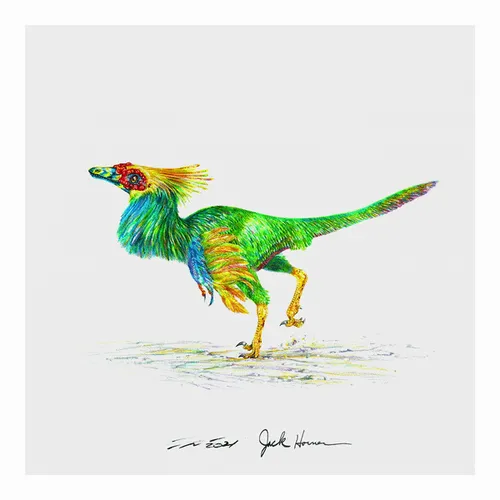 Item #22582927822880265950669941219355019494534003366966592492782895292948966014977 Media