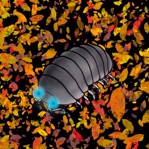 Item #63394889464776947640994999177042947820752530038038357440375934254865646092289 Media