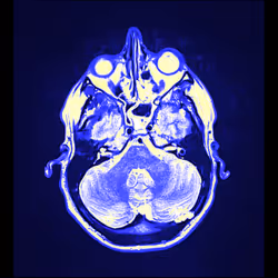 64162533542198579898252916190583583845604629893829087458582975955799226974209