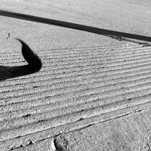 Item #56431751608181922231259635946092067407977788553703326303680802286561478574081 Media