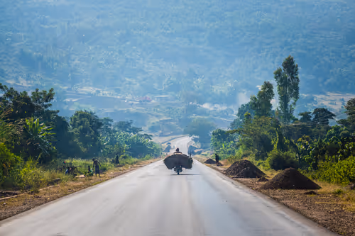 Item #50027882237522295676960542276708360859068113986169674979910834054839282958337 Media