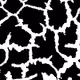 43969003265783643073399617182584010945054003237722696452996878682398423777281